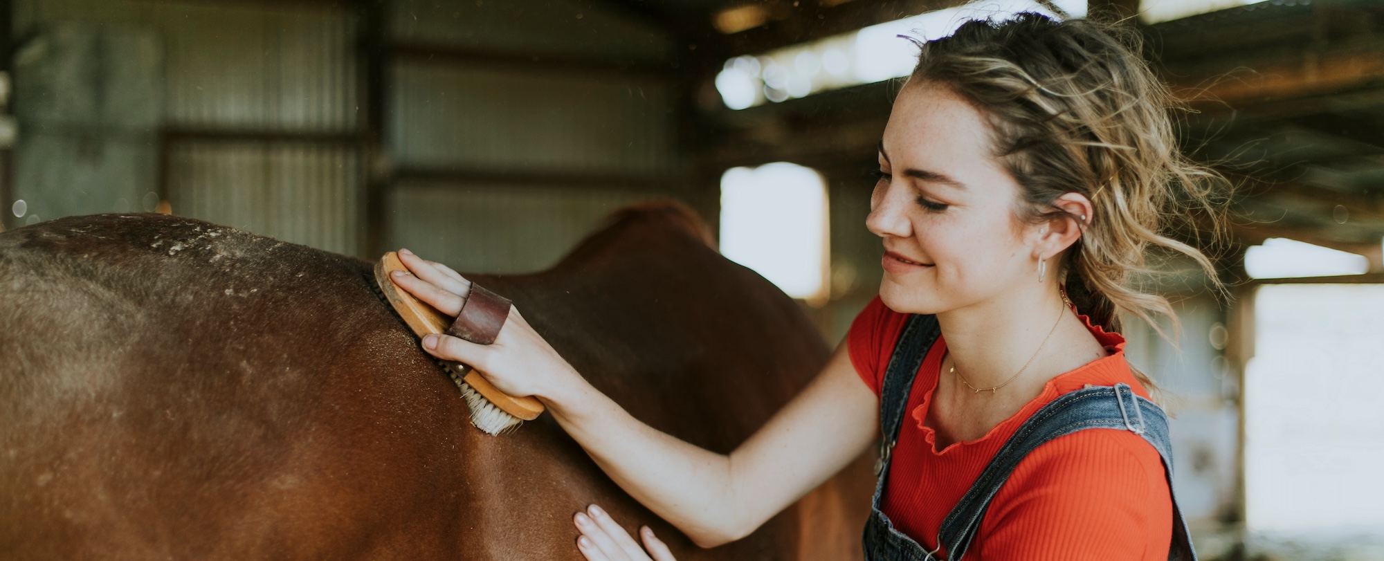 Maximizing Horse Health and Welfare with EC Pro's Comprehensive Management Features