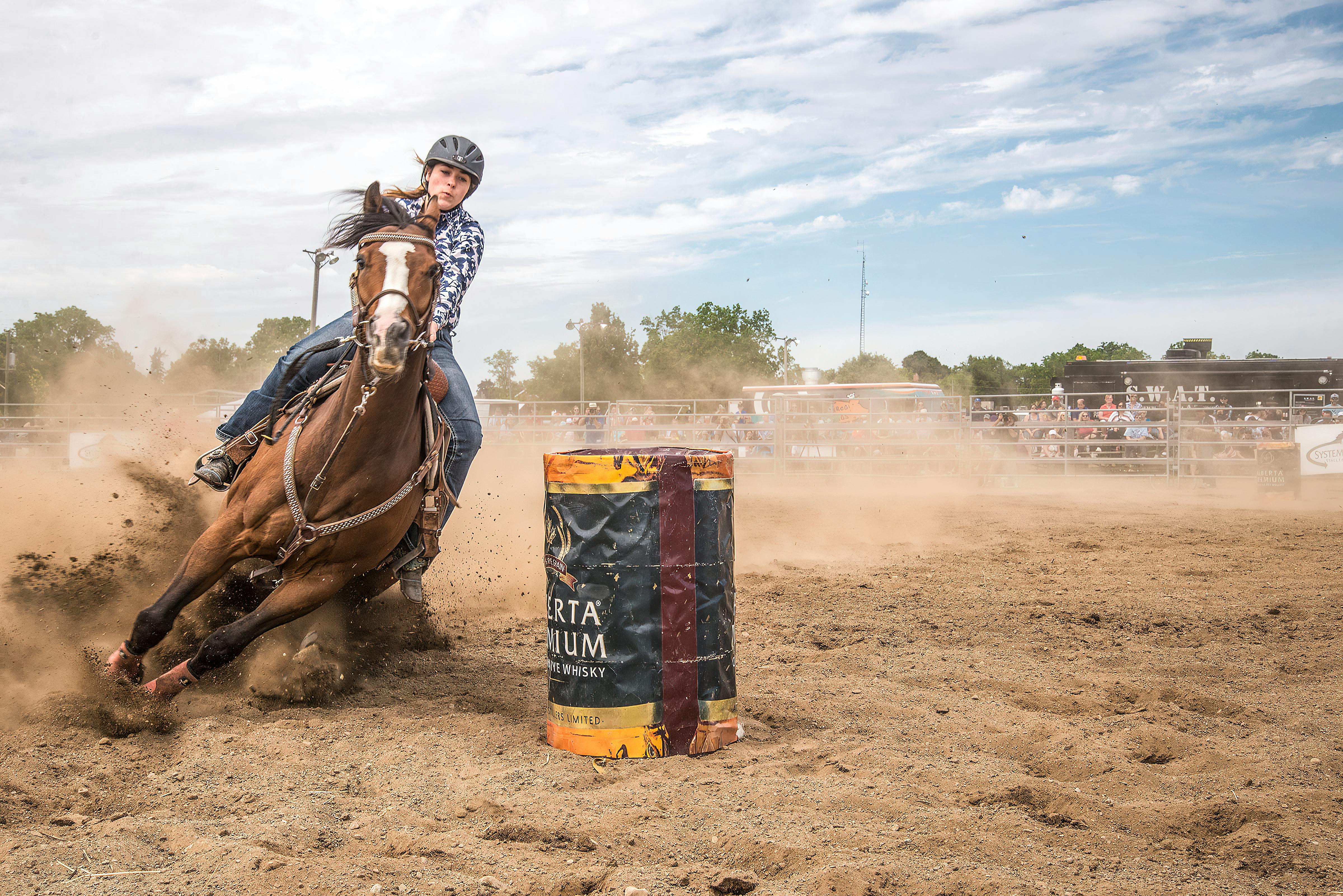 Running Equestrian Clinics and Events: How to Stay Organized and Maximize Revenue