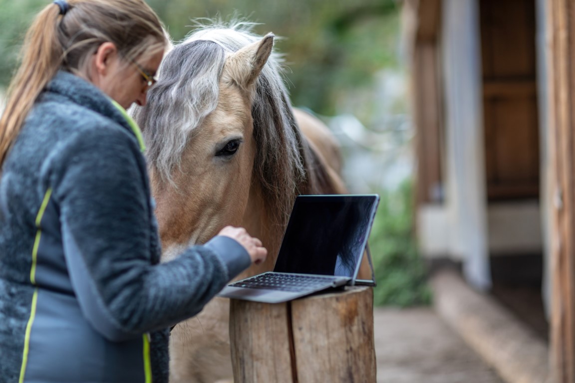 Simplifying Staff and Task Management for Your Stable