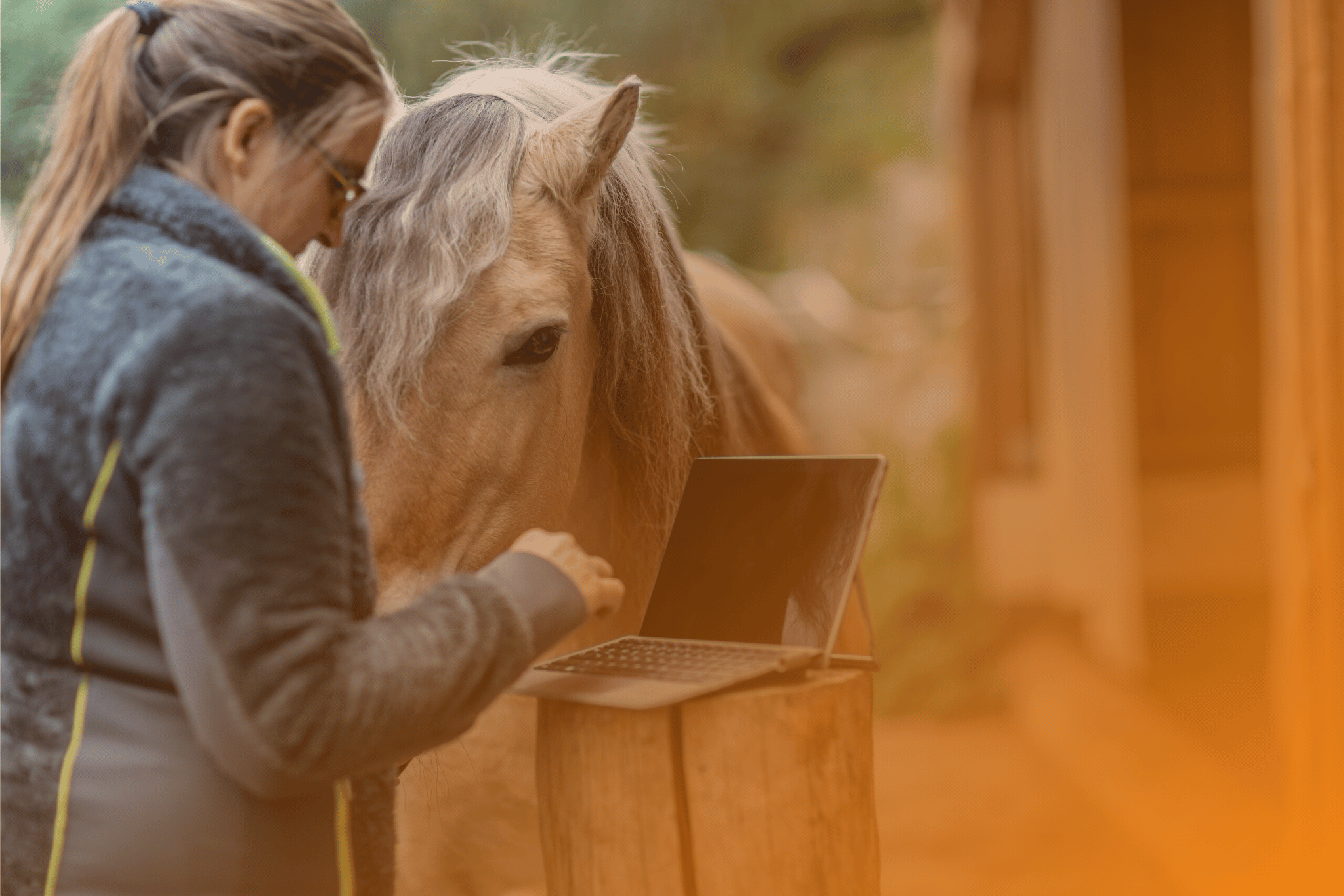 A woman using a laptop near a horse