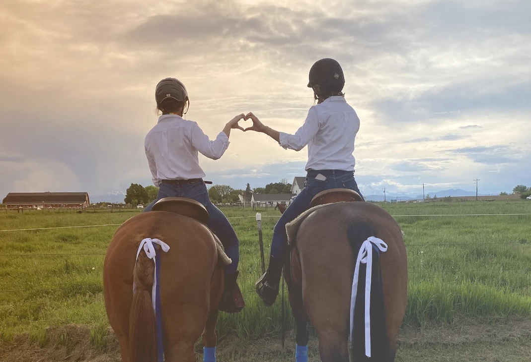 Passion for the Equestrian Industry