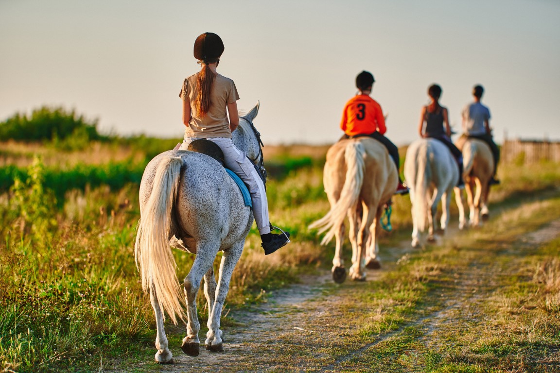 Boost Your Horse Business Revenue with Summer Camps: A Smart Solution for Overwhelmed Instructors and Barn Managers