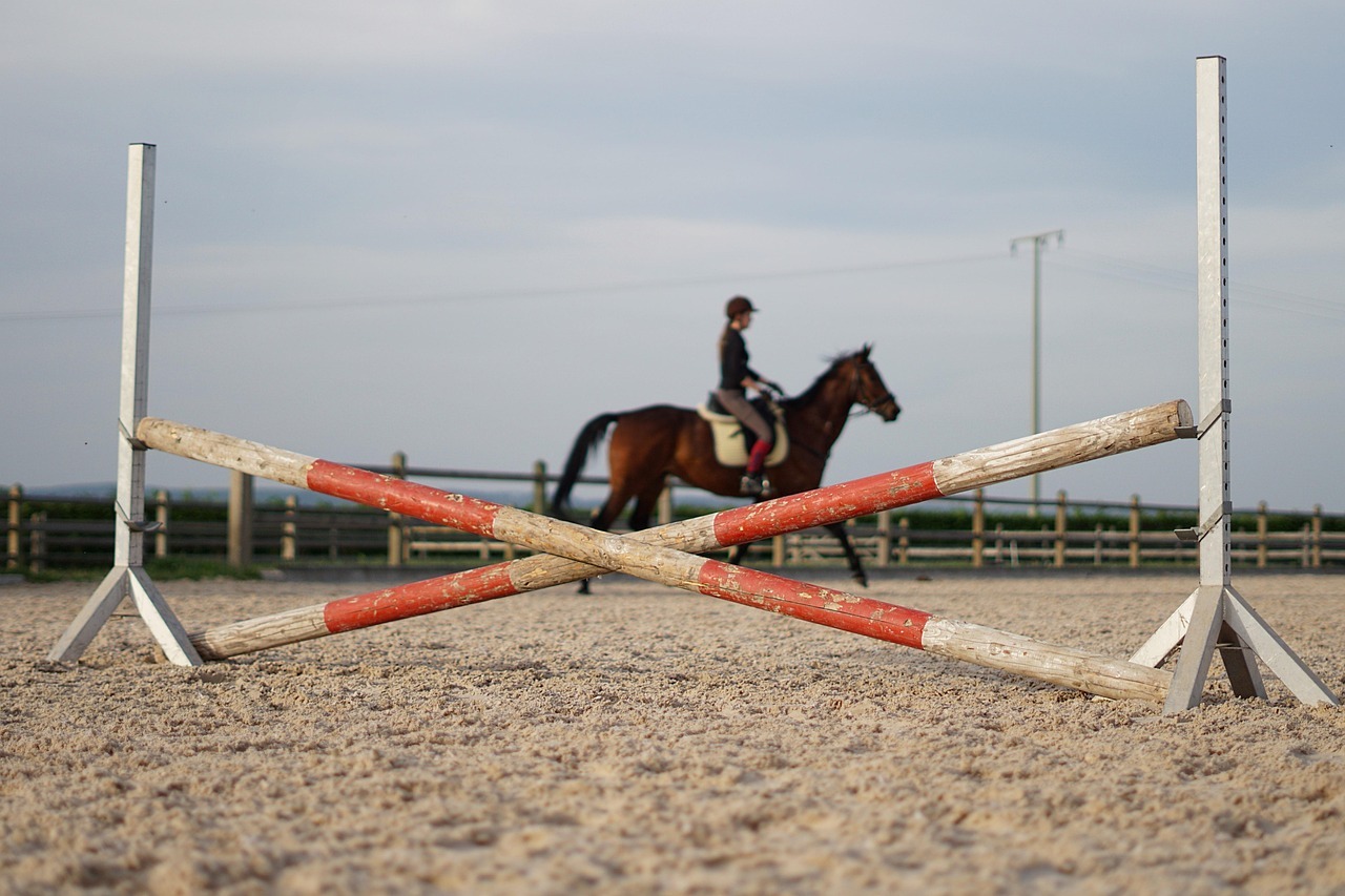 What to Expect - and How to Thrive - When Your Barn Switches to EC Pro: A Riders Point of View