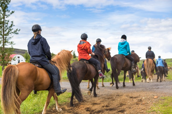 How to Manage and Grow Your Riding School: Proven Strategies for Success